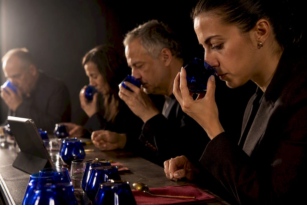 Jurado evaluando muestras de aceite a ciegas