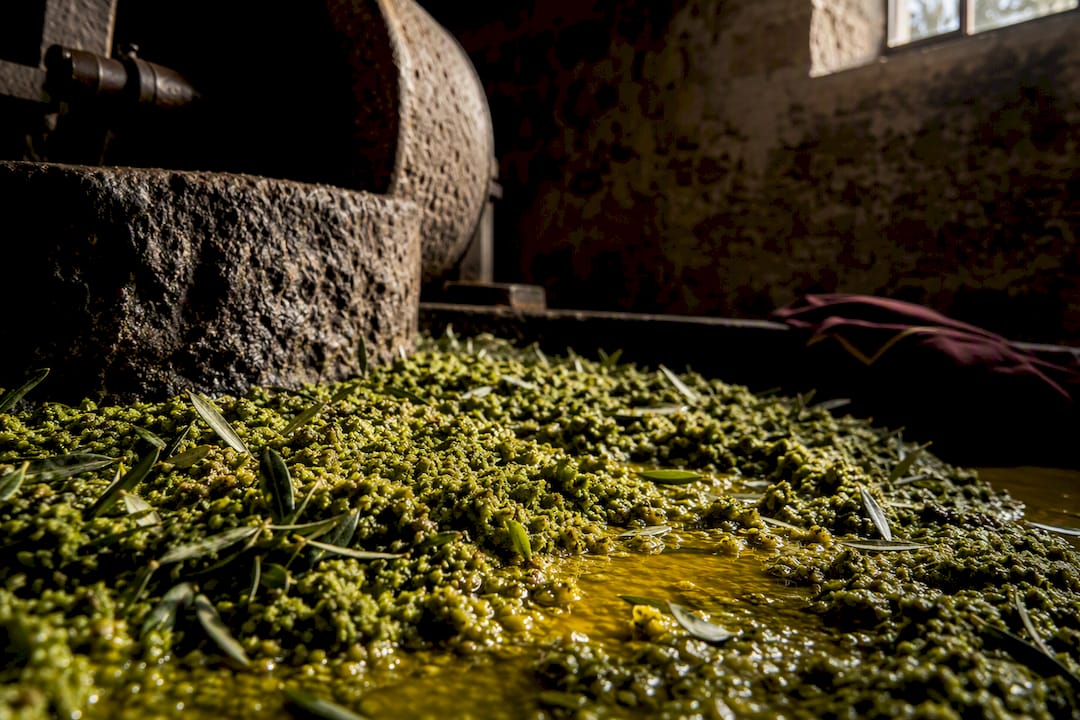 Pasta fresca de aceitunas en una almazara