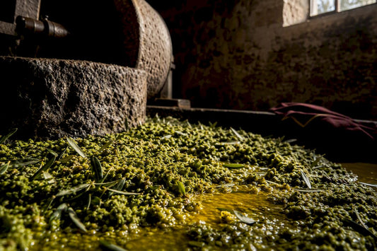 Pasta fresca de aceitunas en una almazara