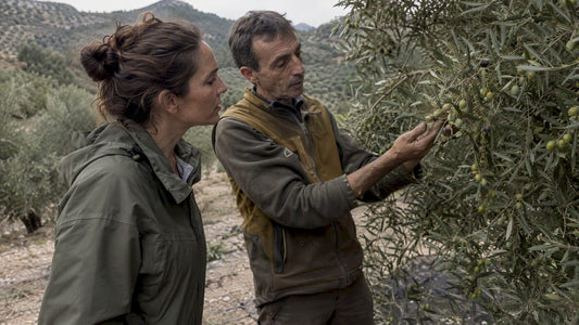 Compradora y productor revisan las aceitunas en el olivar