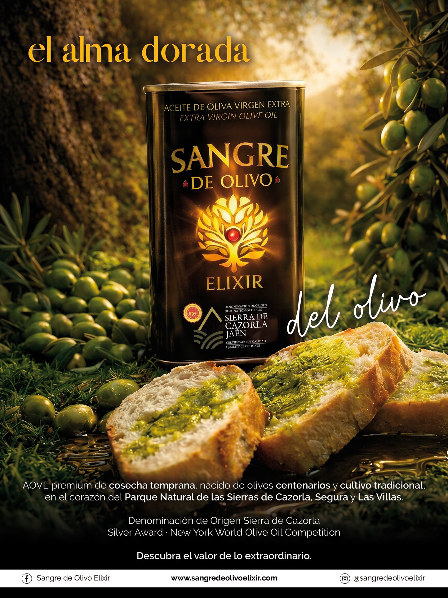 Sangre de Olivo Elixir · AOVE Premium Picual de Cosecha Temprana · 500 ml