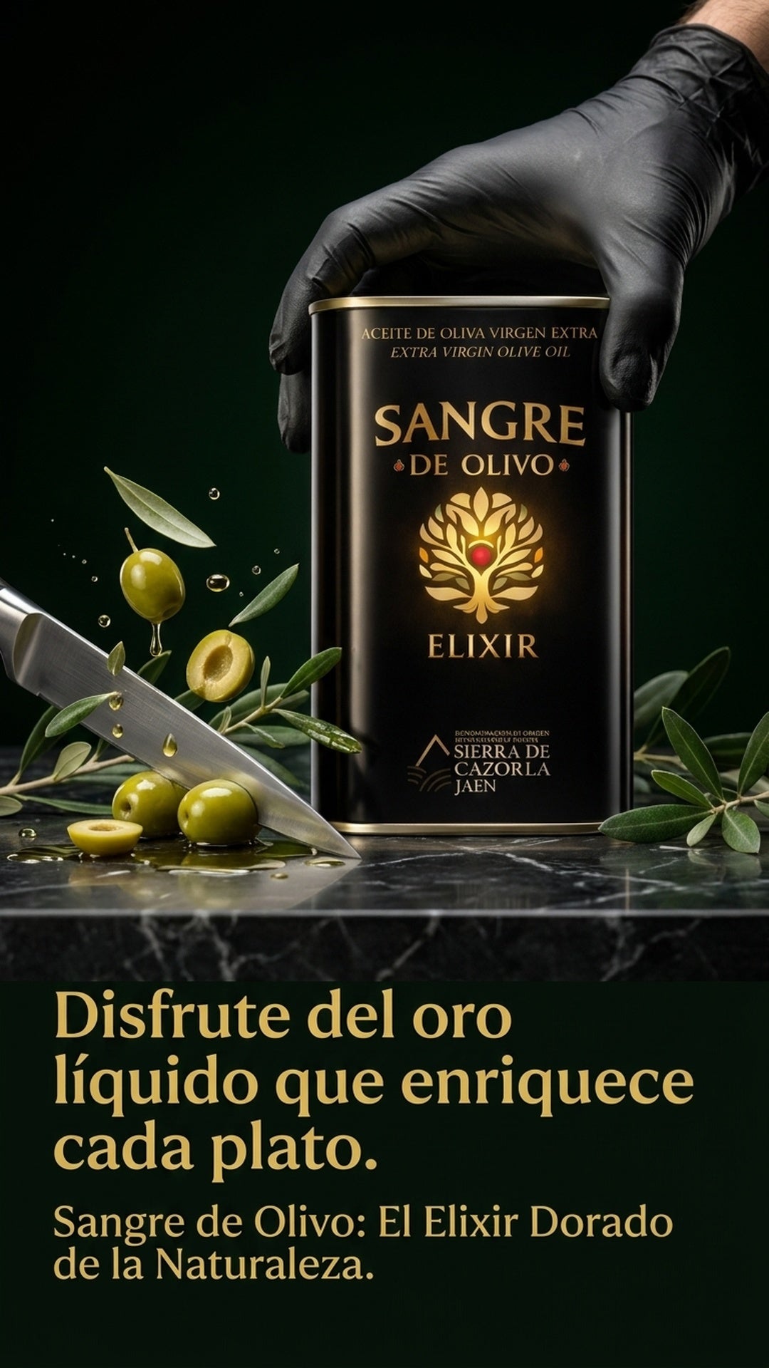 Aceite de Oliva Pack Empresa · 12 Latas · Corporate Gourmet Selection ·